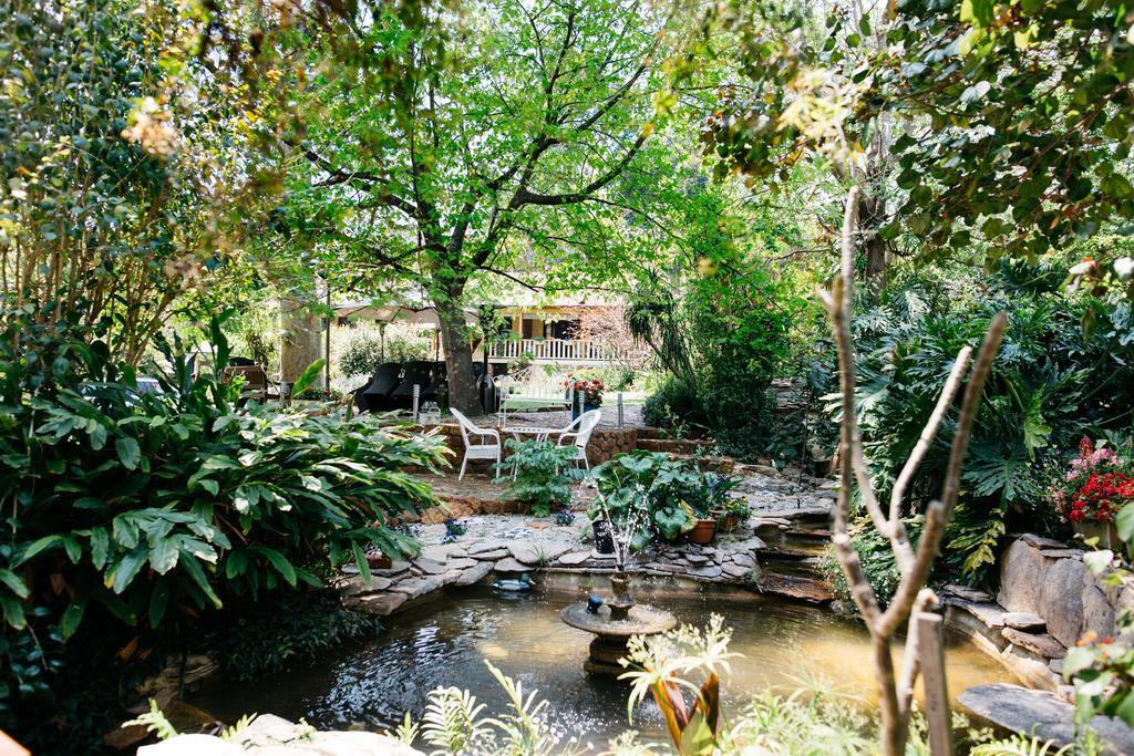 Possum Creek Lodge Gooseberry Hill Екстериор снимка